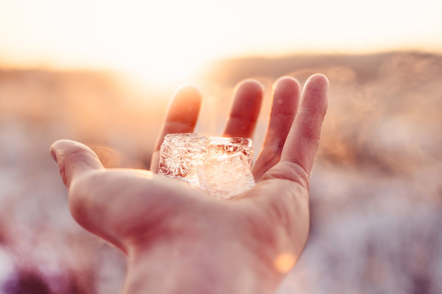 Cropped Hand Of Person Holding Ice