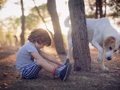 Boy sitting next to dog in the forest