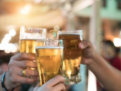 Friends toasting with glasses of light beer at the pub