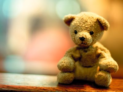 A melancholic teddy bear sits attentively and waits. And watches.